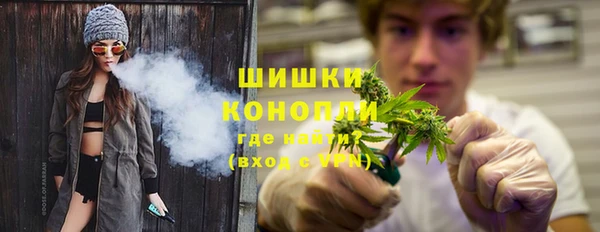МДПВ Богородск