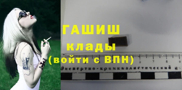 шишки Богородицк
