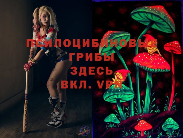 шишки Богородицк