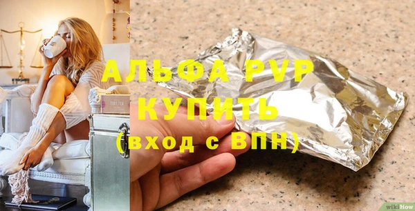 гашик Богданович