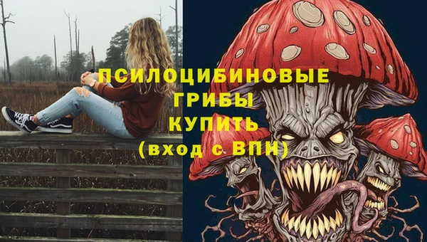 шишки Богородицк