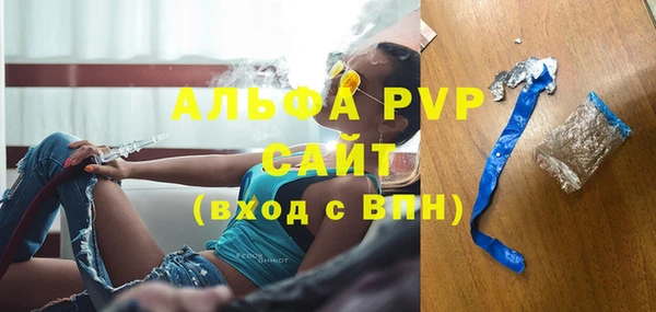 гашик Богданович