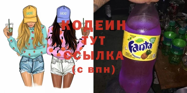 шишки Богородицк