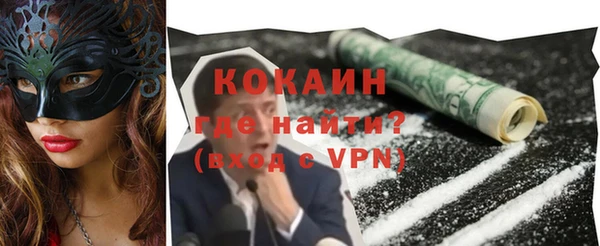 шишки Богородицк