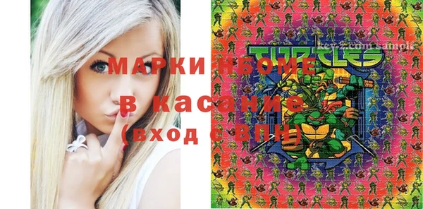 гашик Богданович